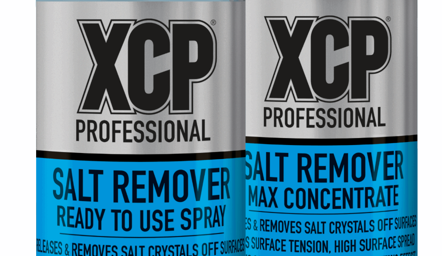 salt-remover-group-shot-